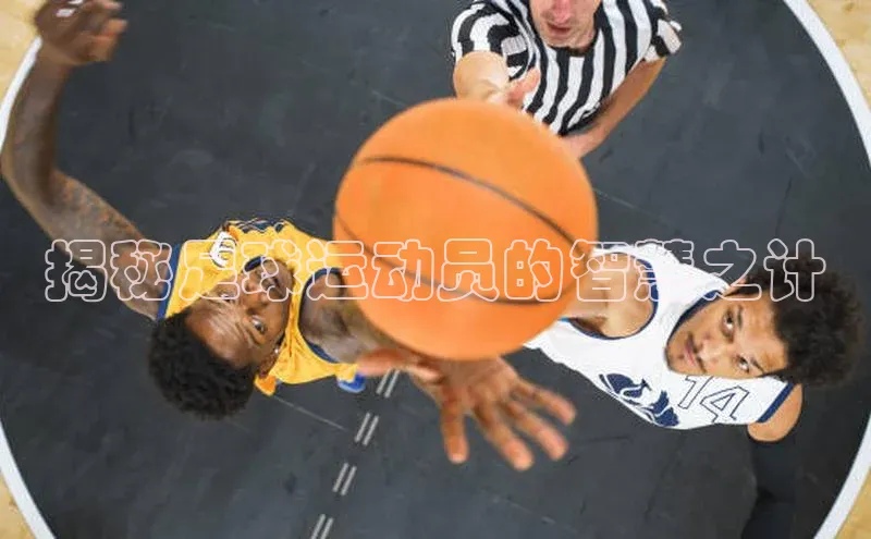 新宝登录app入口手机版百家号揭秘足球运动员的智慧之计