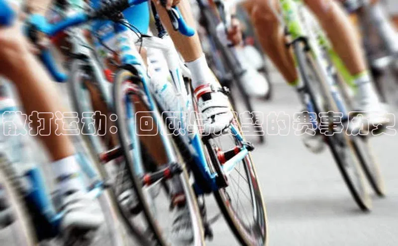 新宝网站登录入口京东散打运动：回顾与展望的赛事历史