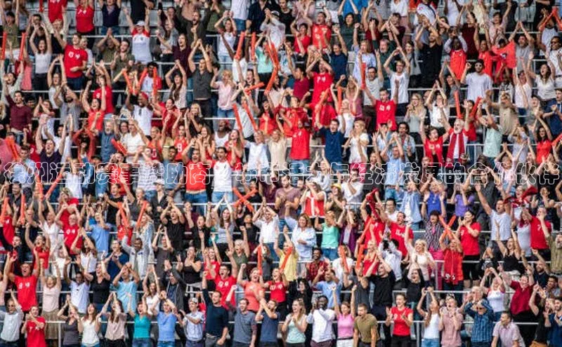 徐州运动赛事赞助商：城市活力与经济发展的合作伙伴