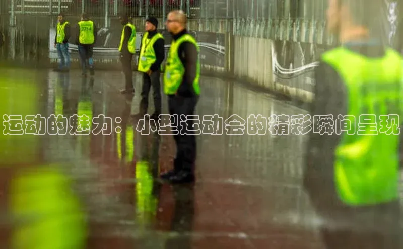 运动的魅力：小型运动会的精彩瞬间呈现