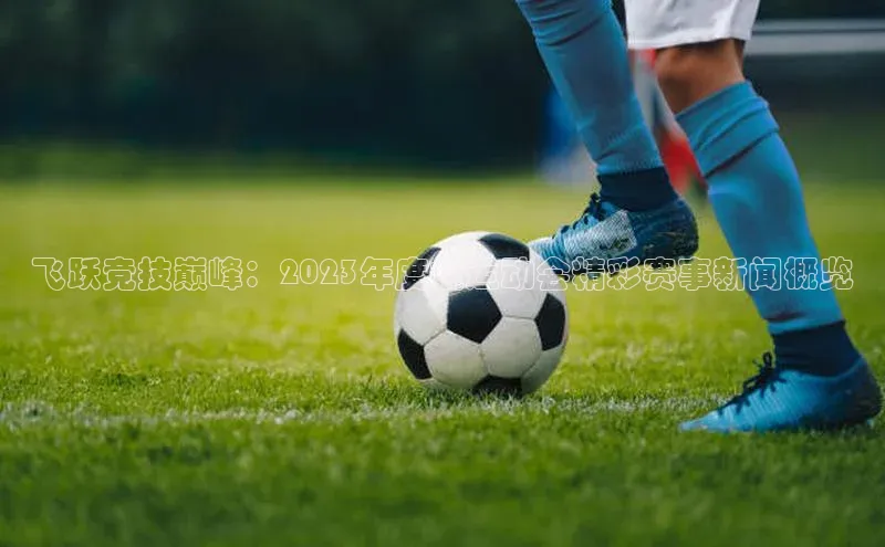 飞跃竞技巅峰：2023年度校运动会精彩赛事新闻概览