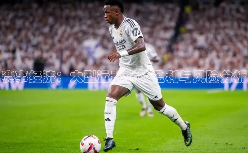 赛事经济：大型运动会的盈利与风险分析