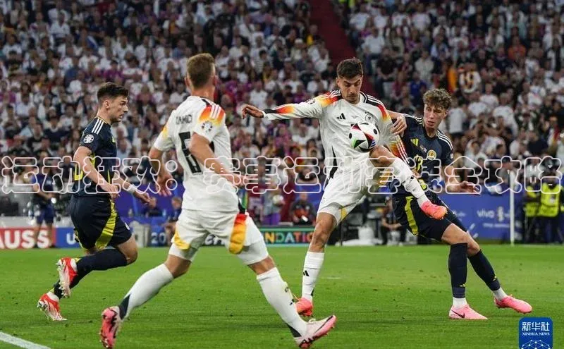 运动狂欢：赛事运动套装全攻略