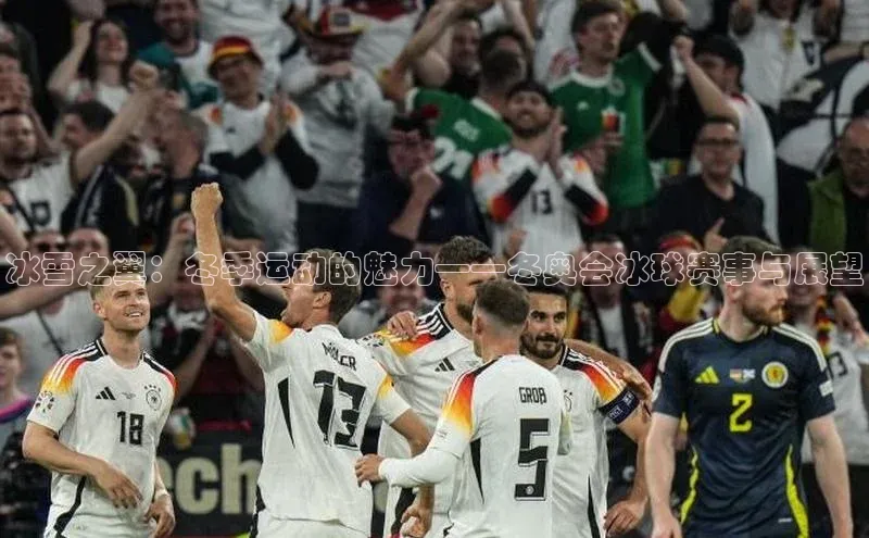 冰雪之翼：冬季运动的魅力——冬奥会冰球赛事与展望