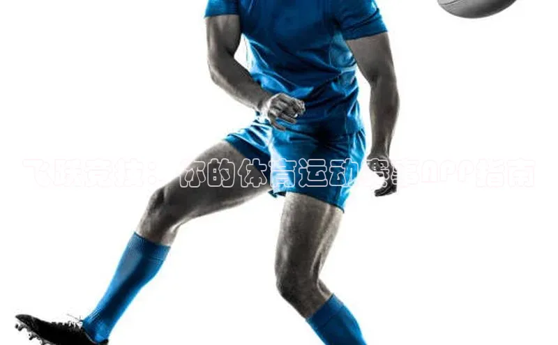 飞跃竞技：你的体育运动赛事APP指南