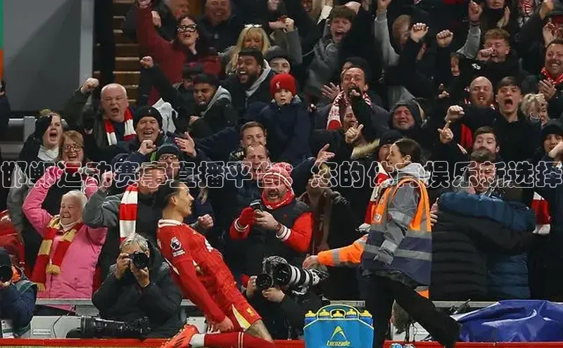 新宝gg创造奇迹官方登录入口