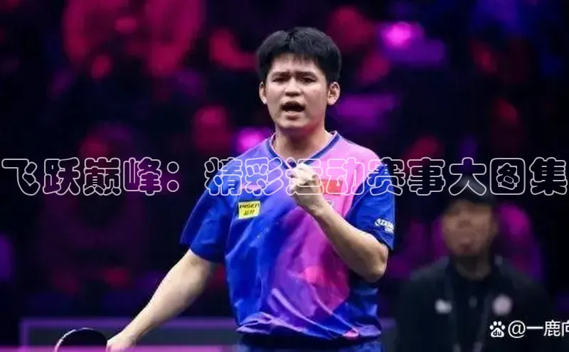 新宝gg官网登录地址