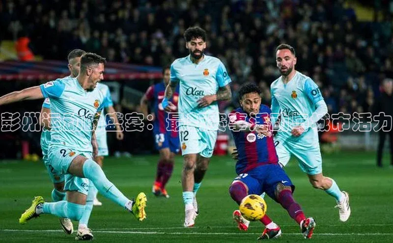 新宝gg平台注册官网