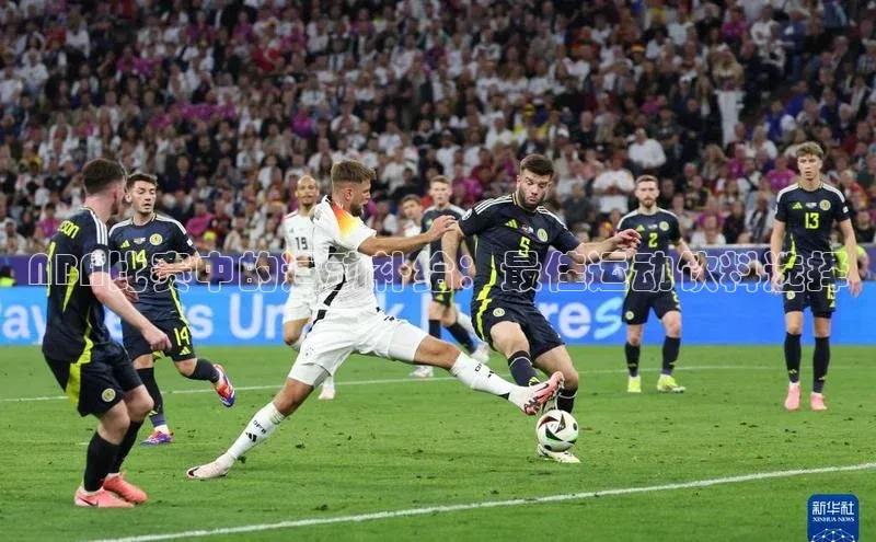 新宝gg平台注册官网